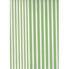 Ref. 79087 - Decalque listra verde clara